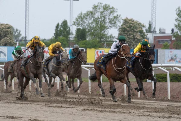 Aphelios upplopp TOPPBILD
