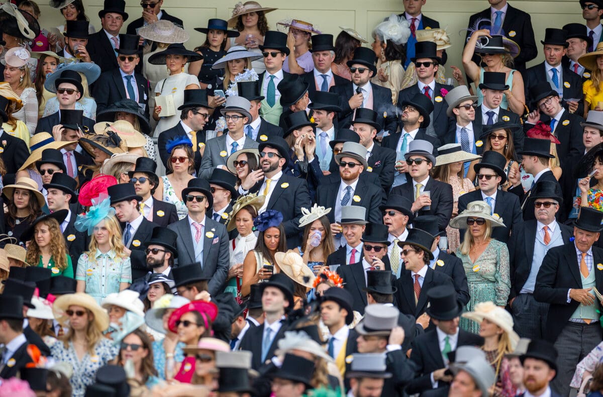 Ascot publik