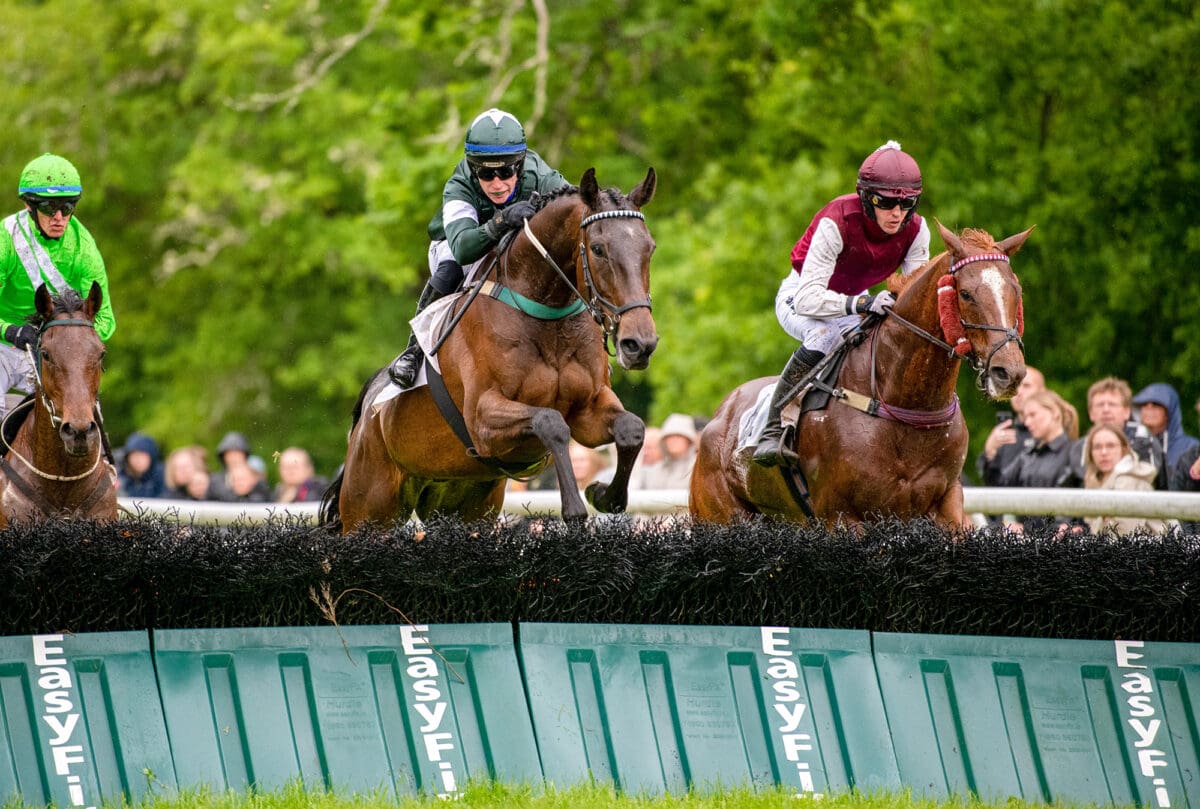 Champion Hurdle 2026