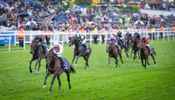 Christmas Day vinner Derbyt