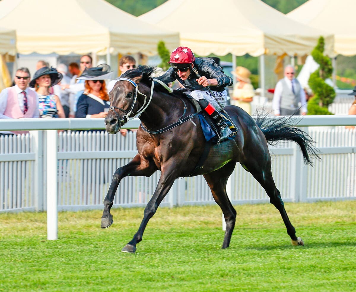 Claymore at Royal Ascot