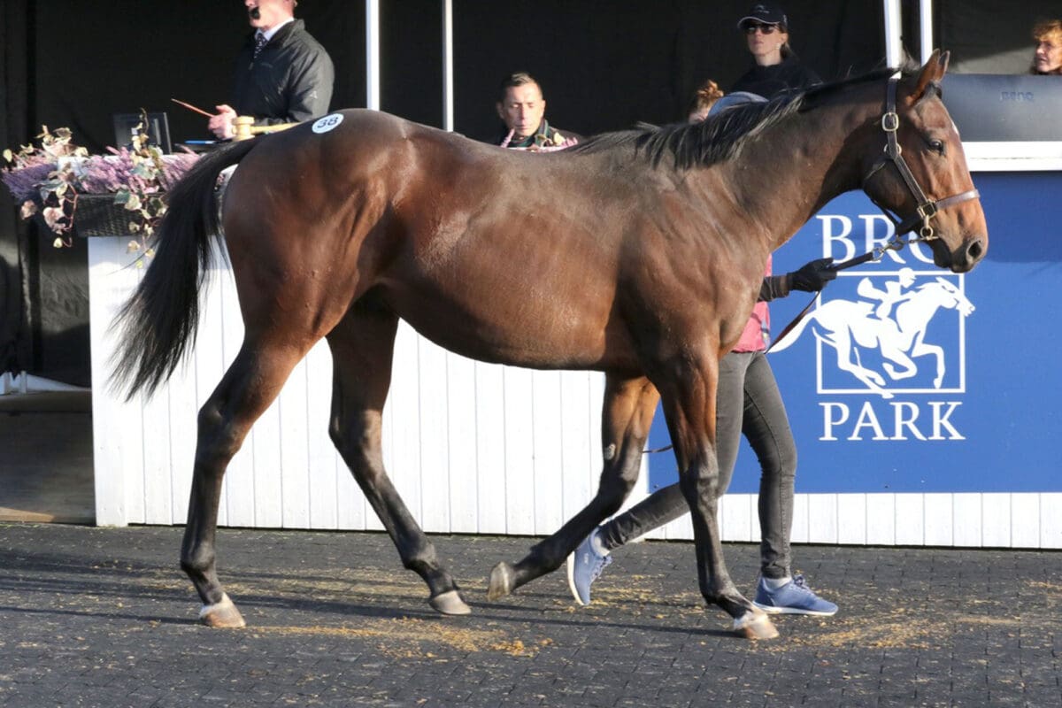 Cromwell