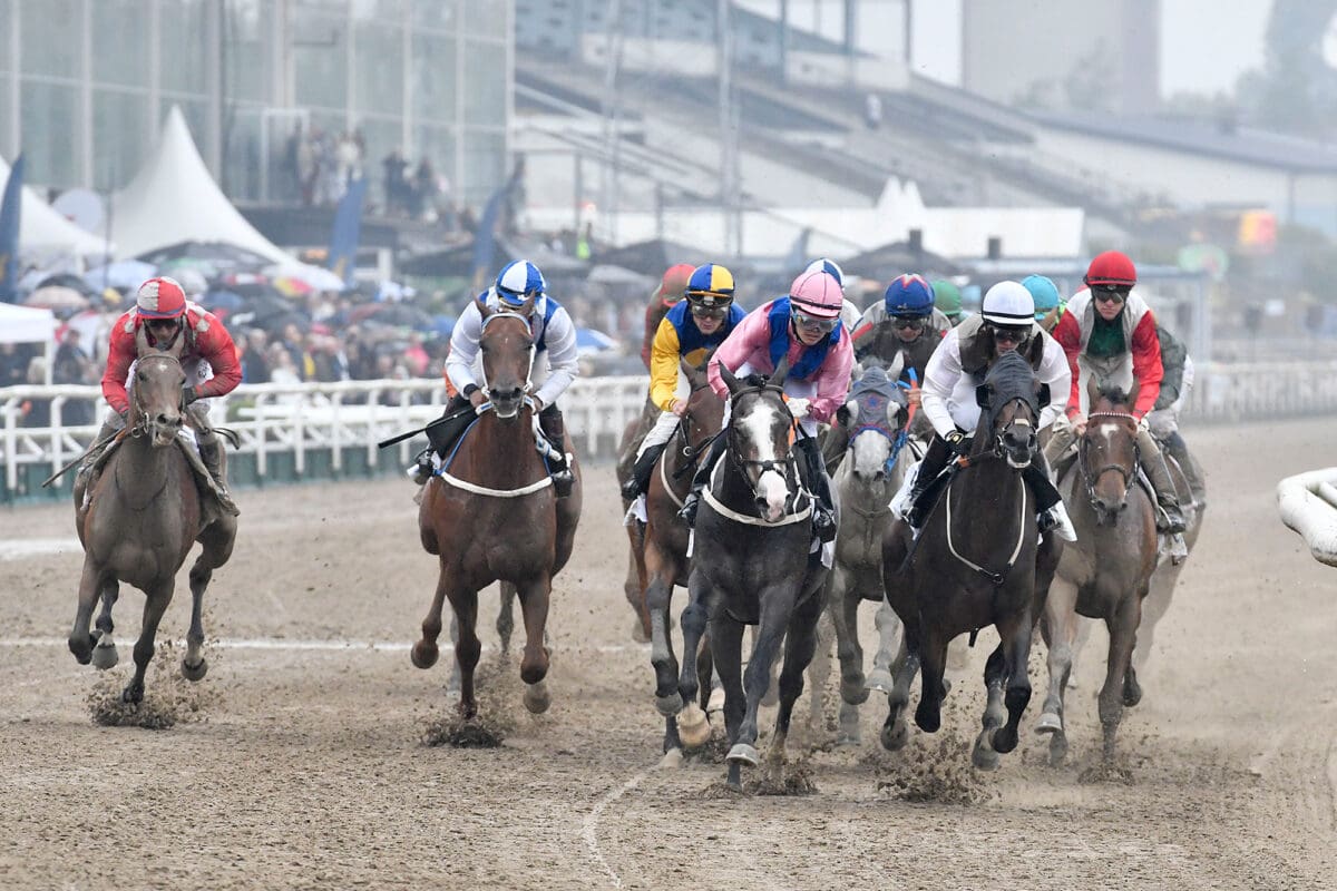 Derbykurva Jagers