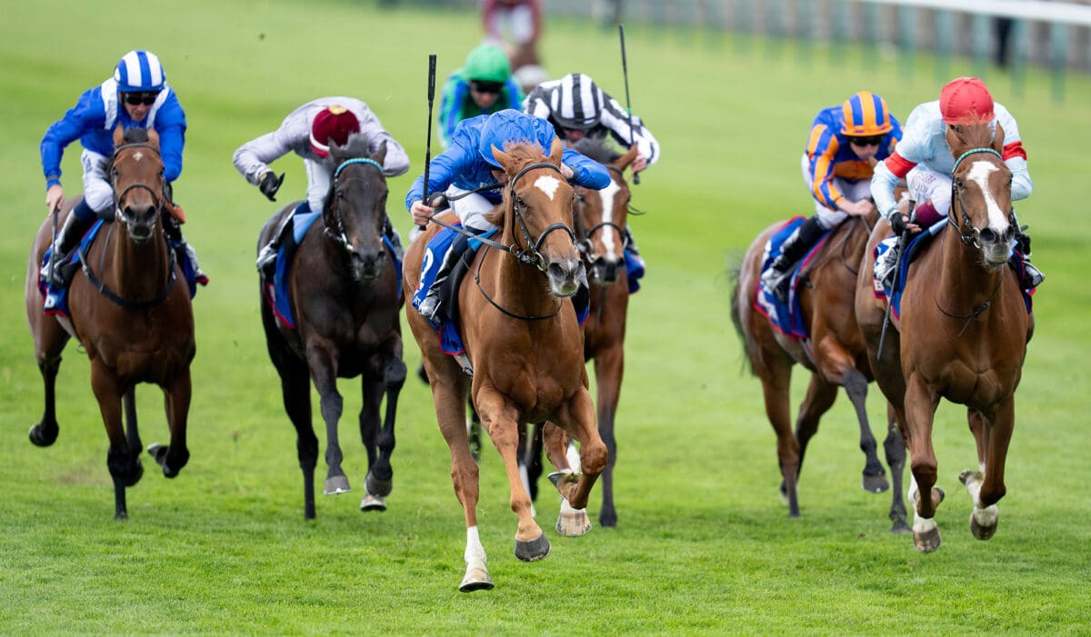 Desert Flower 1000 Guineas