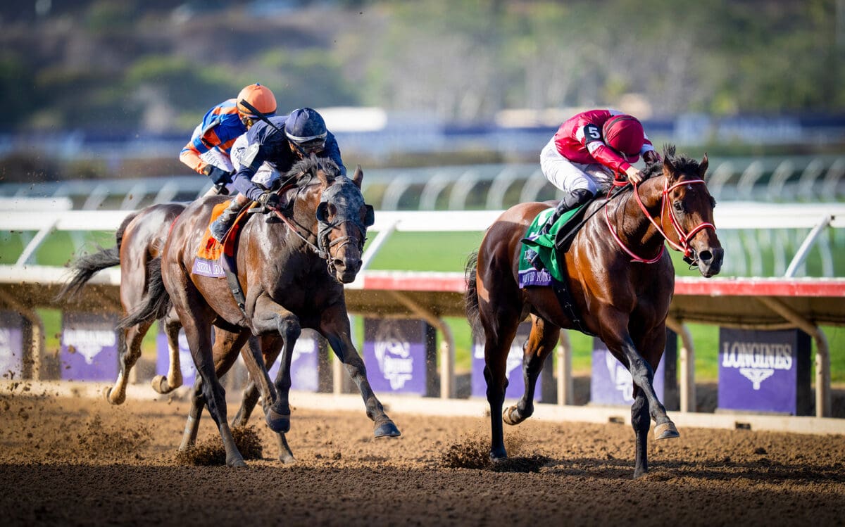 Forever Young vinner Breeders Cup