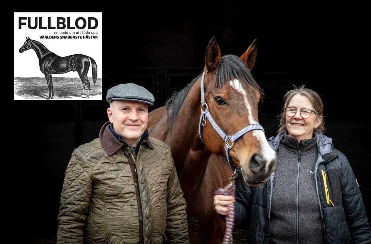 Galoppodden Crona CS 2000px