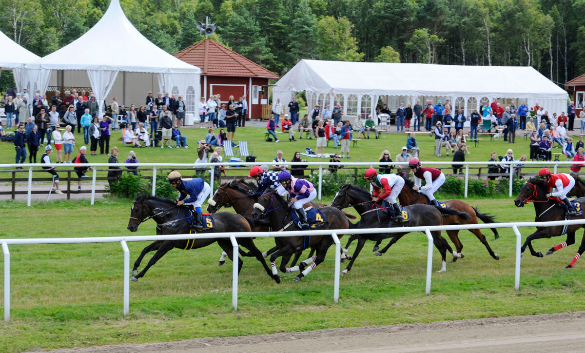Gbg Galopp