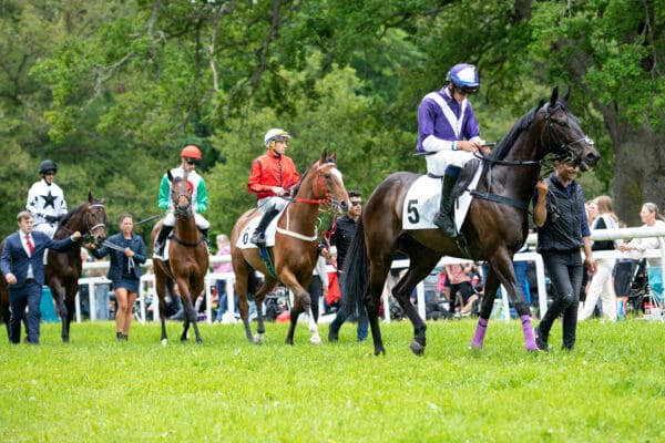 Genrebild Galopp Sthlm