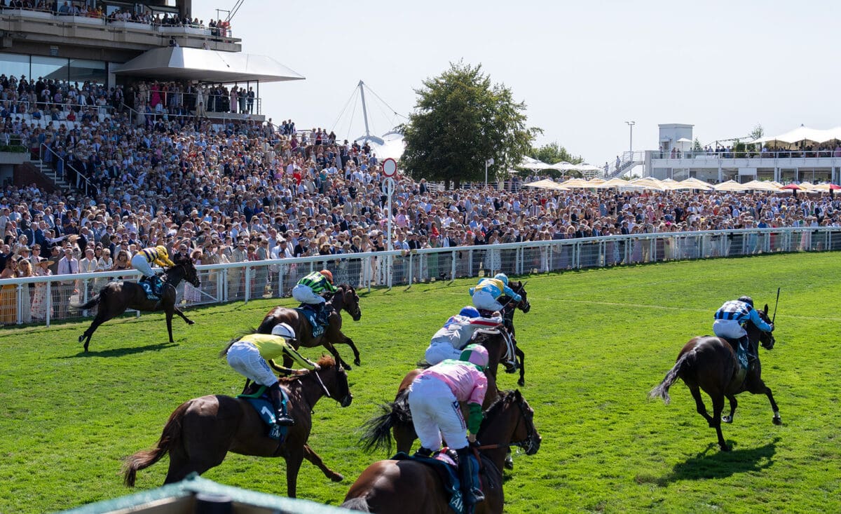 Goodwood King George race