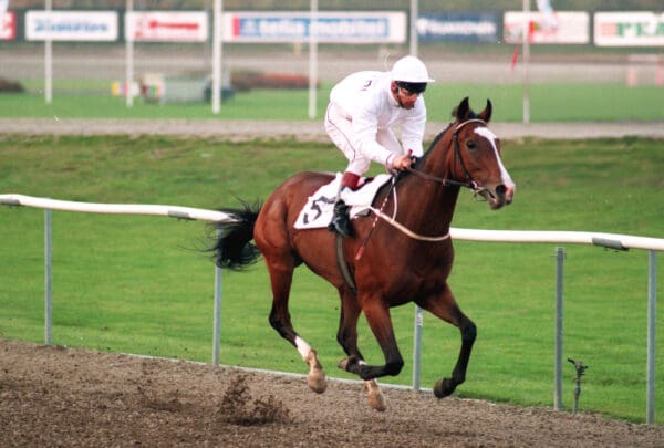 HOOTER & JANOS TANDARI