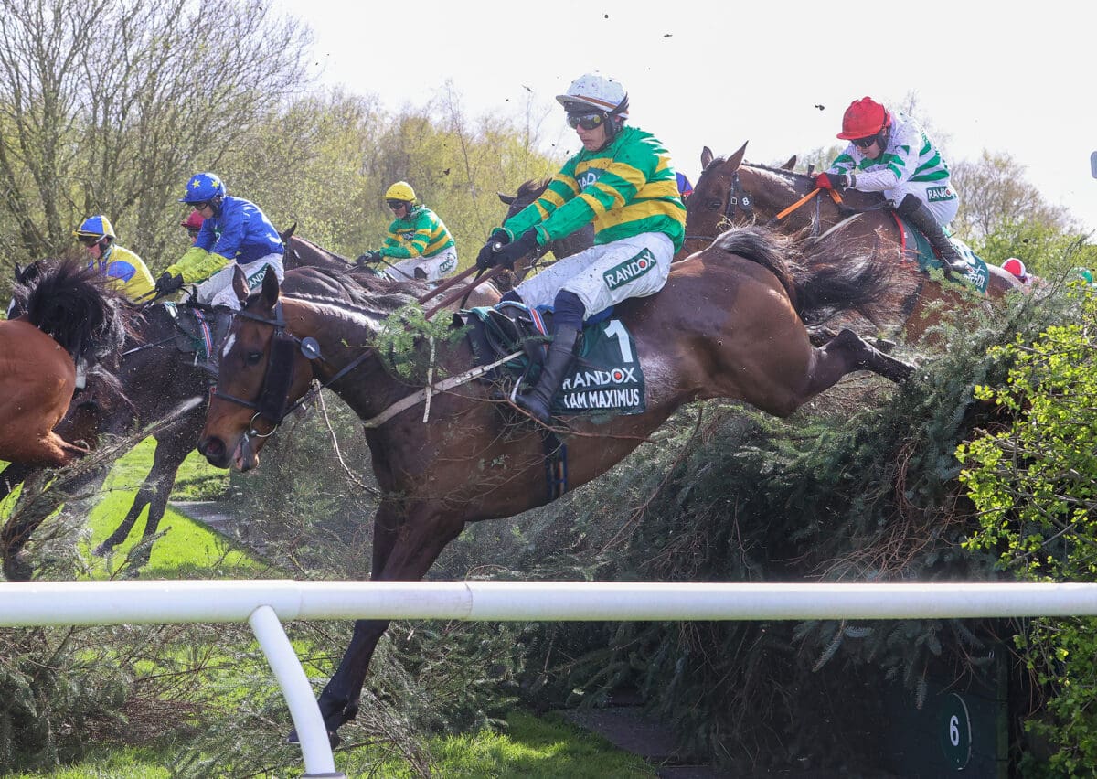 I Am Maximus hoppbild