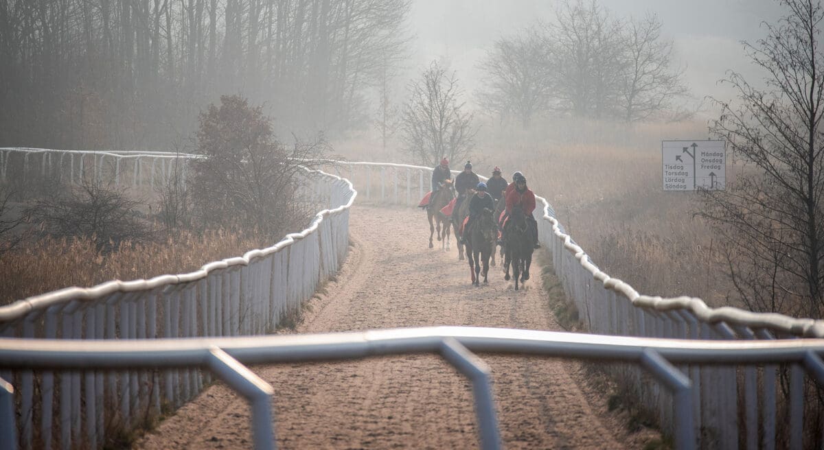 Jägersro galoppträningsbanan 2000