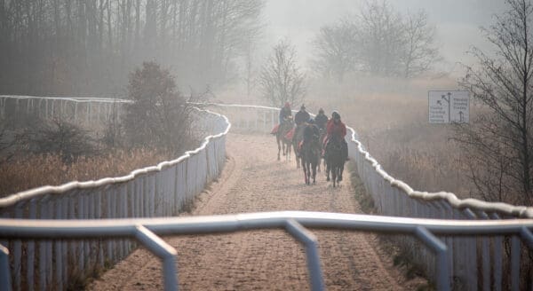 Jägersro galoppträningsbanan 2000
