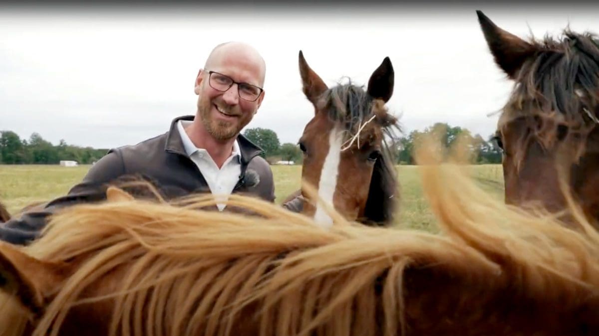 Johan Björnsson Alebäcks Horse & Breeding