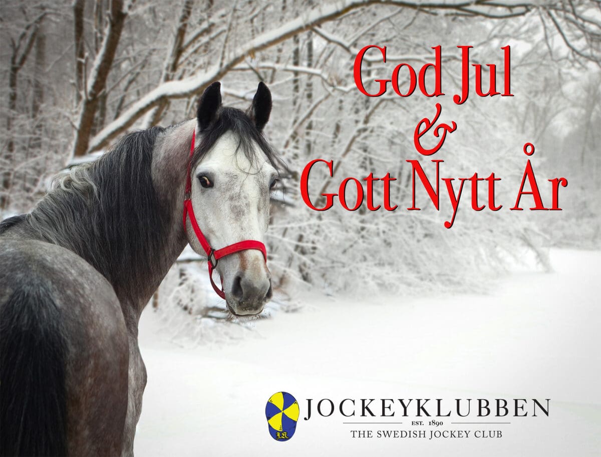 Julhälsning 2000px