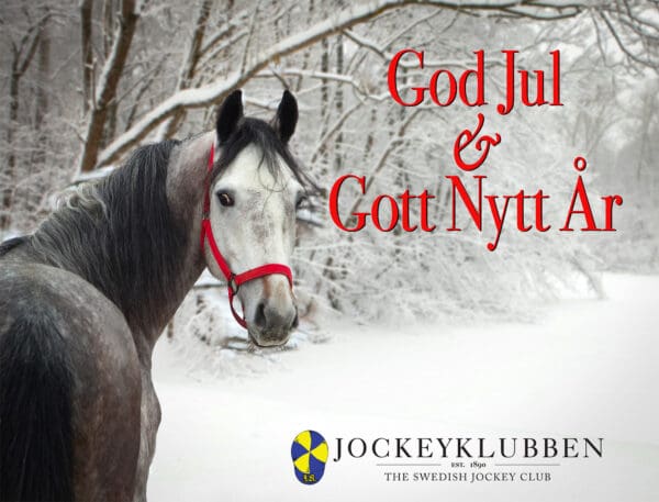 Julhälsning 2000px