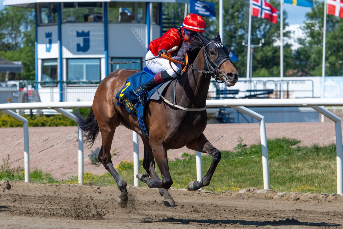 Lady Irene i Svenskt Oaks