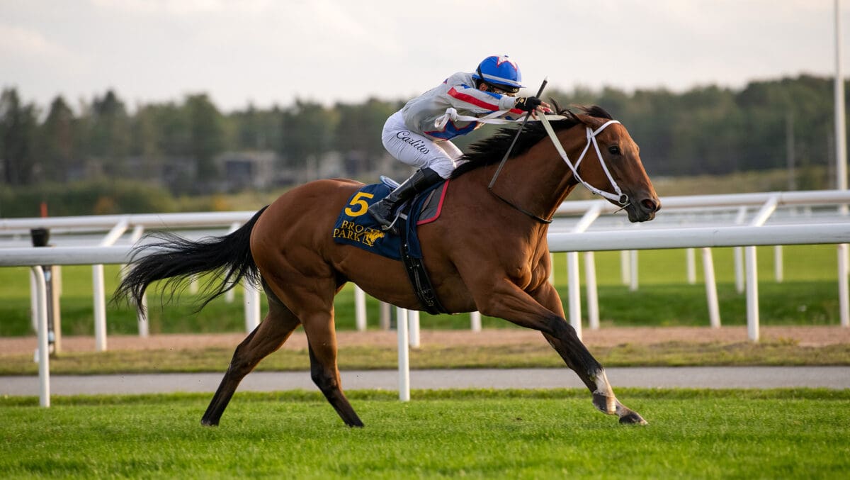 Lamborghini BF bro (2)