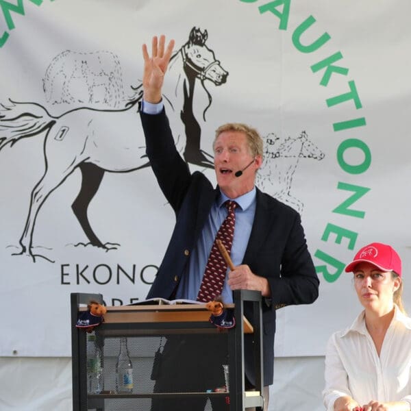 Petra SAEF auktion