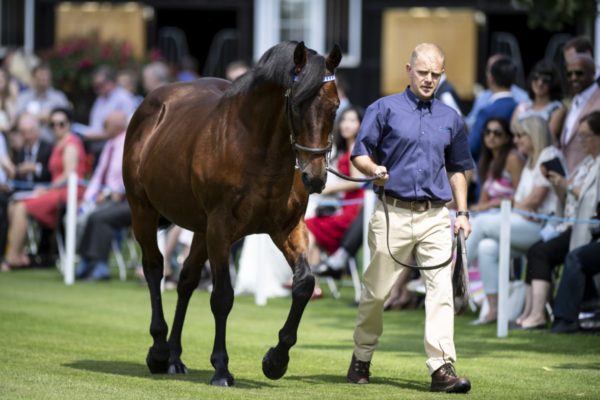 Dubawi