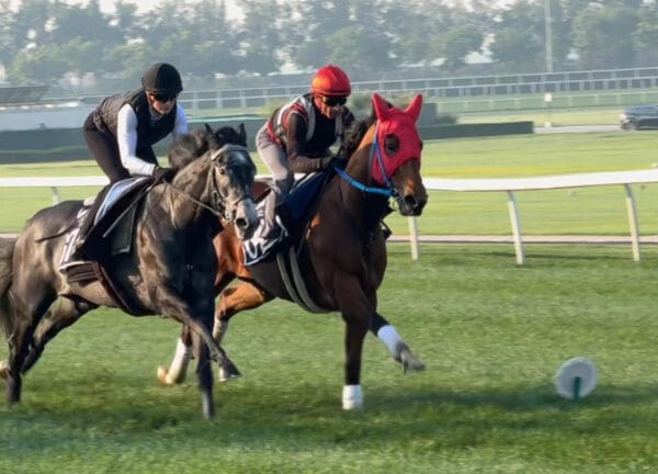 Rebel's o Lamborghini toppbild