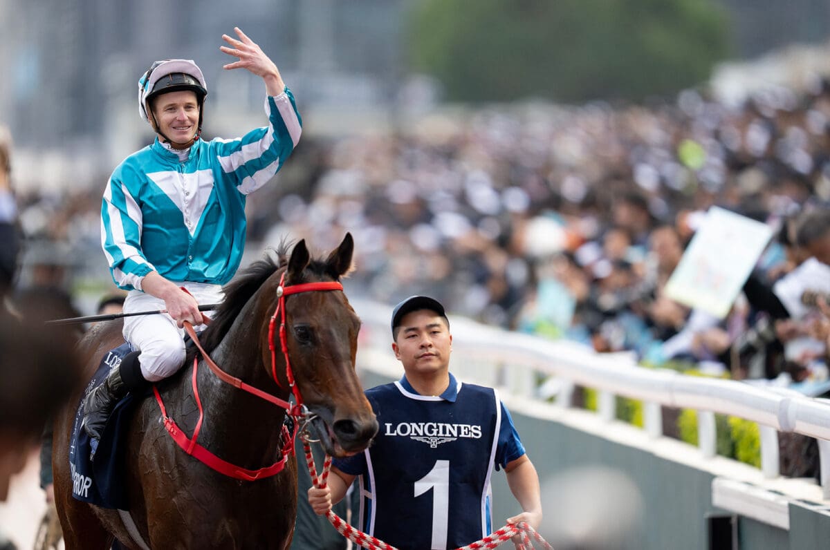 Romantic Warrior 2025