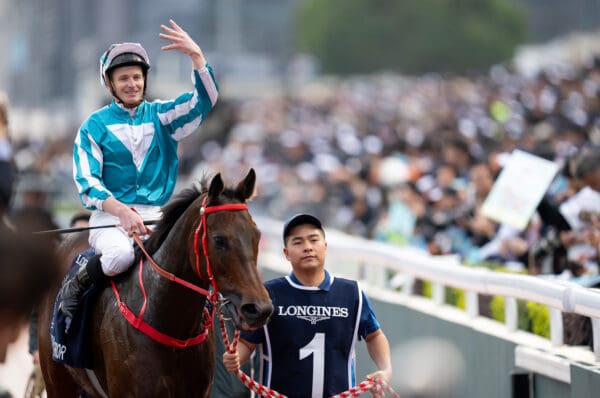 Romantic Warrior 2025