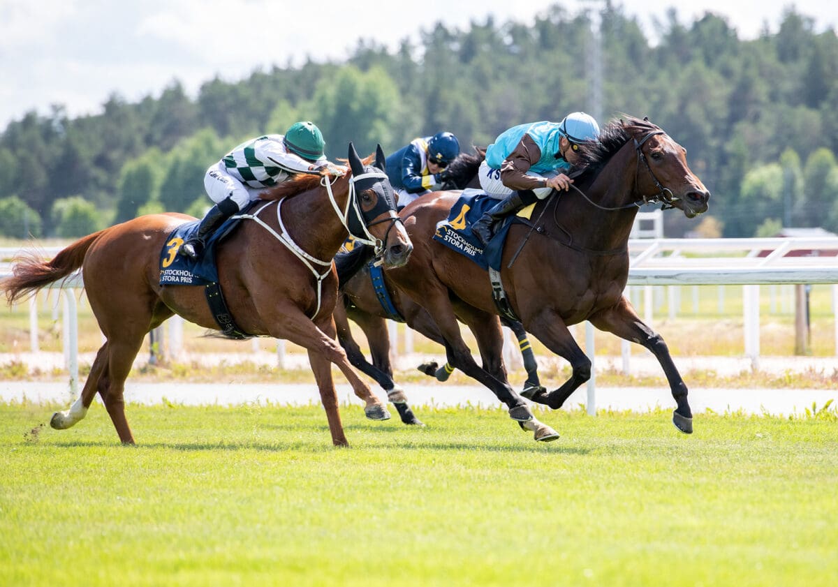 Stockholms Stora Pris 2024