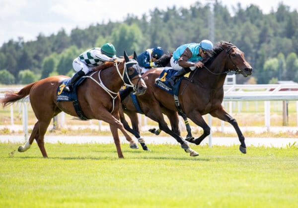 Stockholms Stora Pris 2024