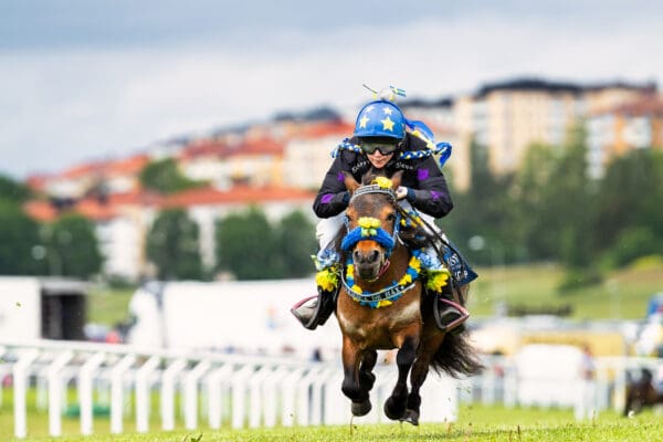 TOPPBILD Magica De H
