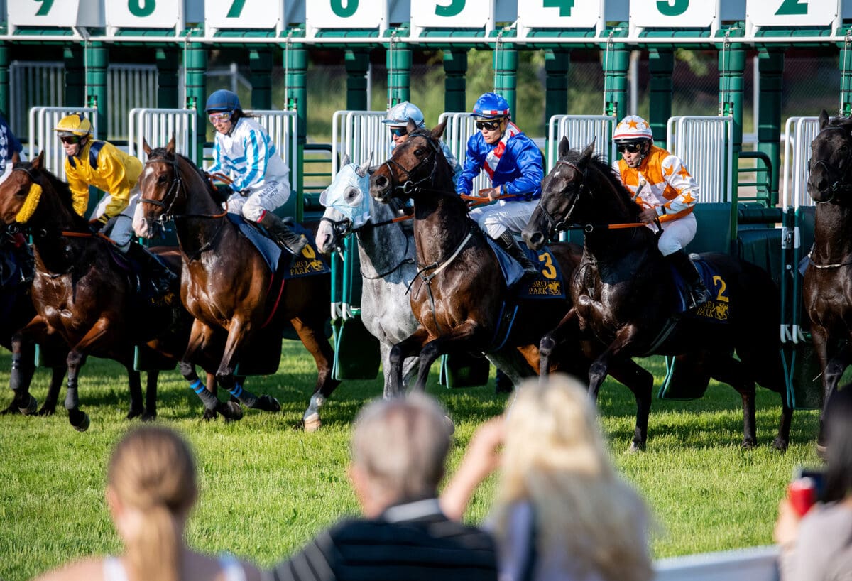 TOPPBILD jul nyar artikel