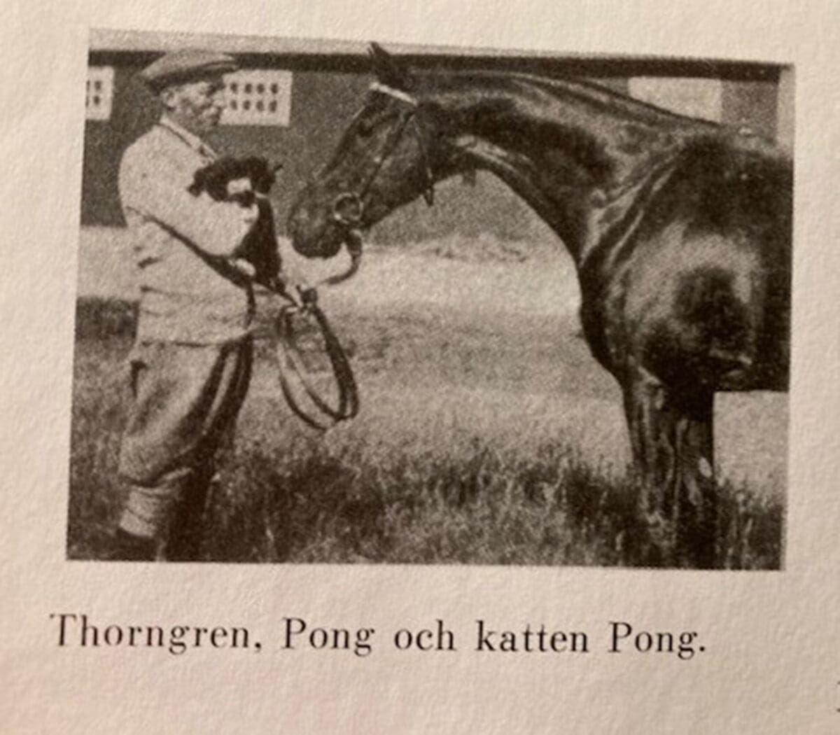 Thorngren och Pong