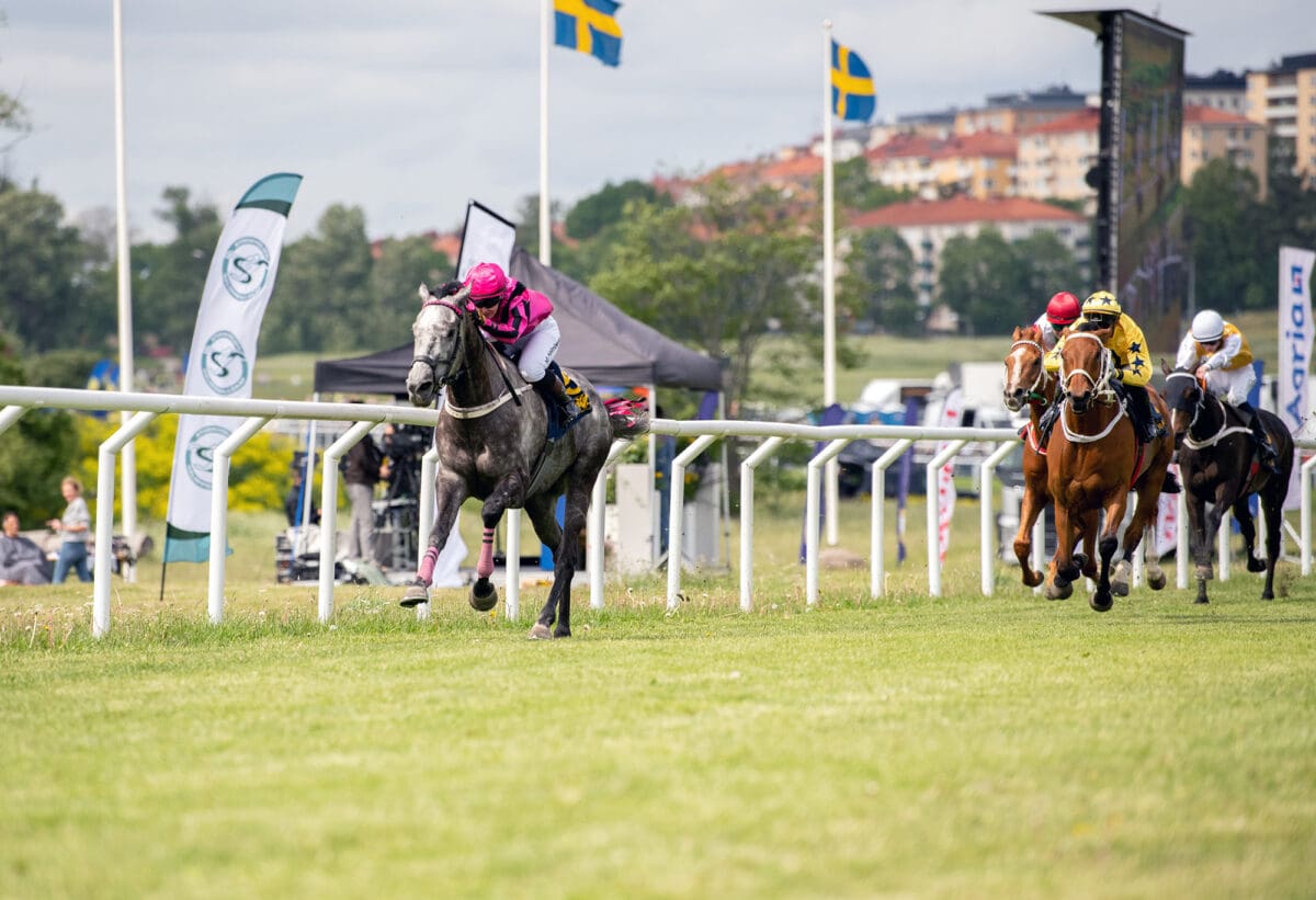 Zwish Zaid JK Cup TOPPBILD