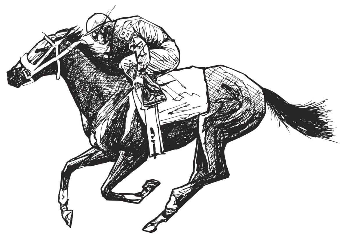 vectorial representation of an ink drawing of a horse and rider