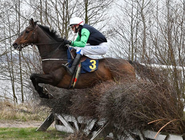 Symphonias Wilmar 170408