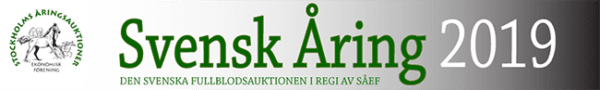 svenskaring2019 logo